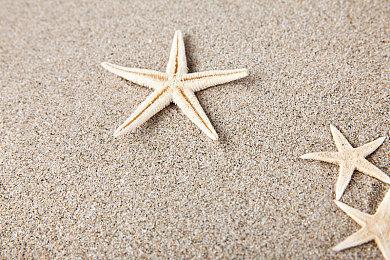 Steam国产“类8番”游戏《永恒逃脱：暗影城堡》现已上架 ，将于7月12日发售